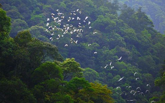 广西旅游博客_广西自由行博客