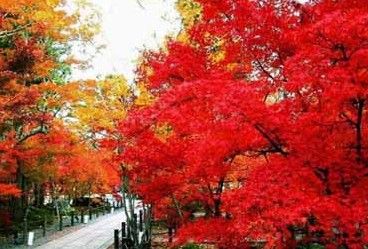 长沙旅游博客_长沙自由行博客