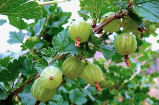 黑龙江旅游_黑龙江旅游攻略_黑龙江旅游景点