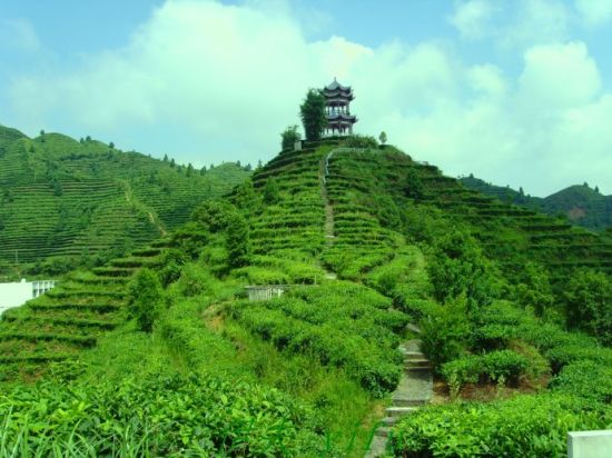 百色旅游博客_百色自由行博客_新浪旅游