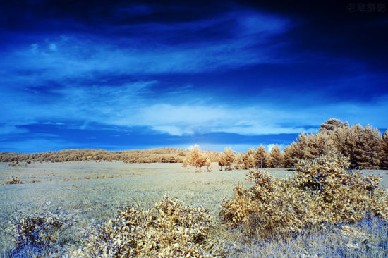 内蒙古呼伦贝尔大草原旅游_内蒙古呼伦贝尔大