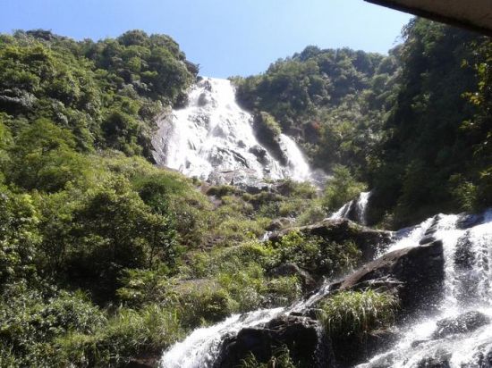 玉林大容山森林公园旅游_玉林大容山森林公园