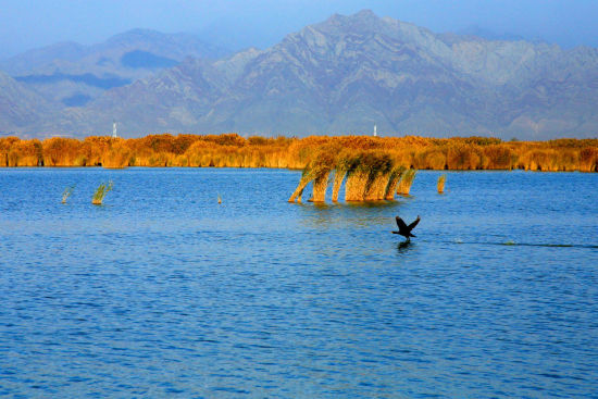 甘肃旅游博客_甘肃自由行博客