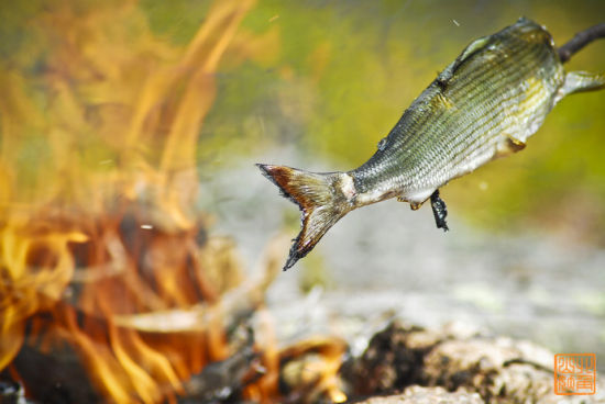 芬兰旅游博客_芬兰自由行博客