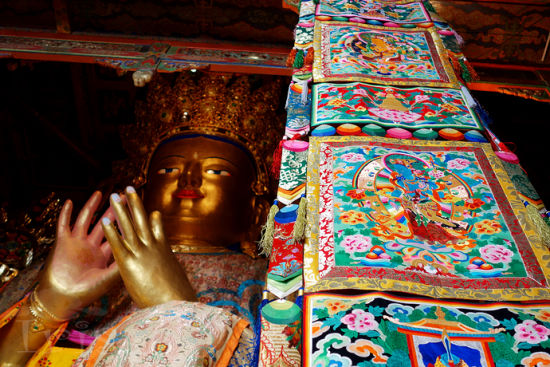 青海旅游博客_青海自由行博客