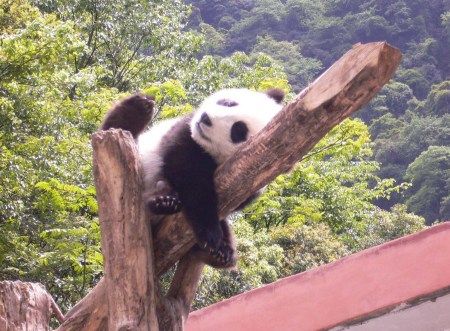 四川旅游博客_四川自由行博客