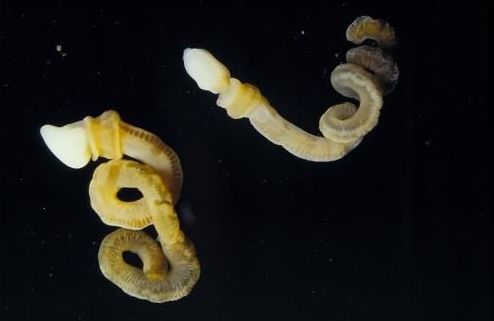 加拿大旅游博客_加拿大自由行博客