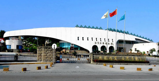 自贡恐龙博物馆旅游博客_自贡恐龙博物馆自由