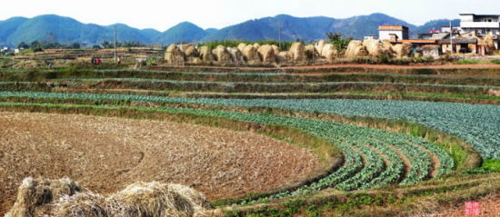 南宁旅游博客_南宁自由行博客