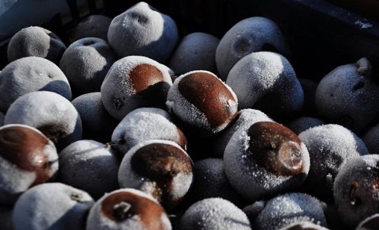 黑龙江旅游_黑龙江旅游攻略_黑龙江旅游景点