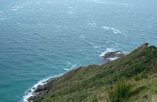 澳大利亚旅游博客_澳大利亚自由行博客