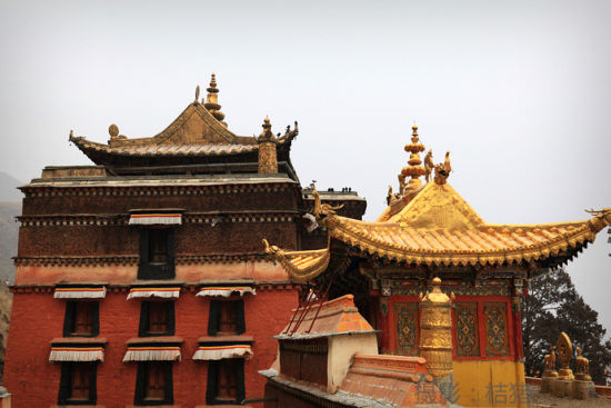 甘南卜楞寺旅游_甘南卜楞寺旅游攻略_卜楞寺