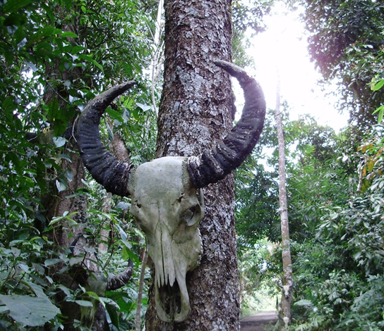 西双版纳傣族园旅游_西双版纳傣族园旅游攻略