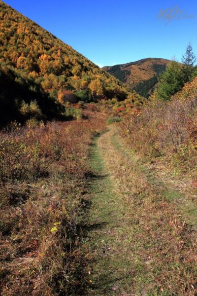 张家口赤城温泉旅游_张家口赤城温泉旅游攻略