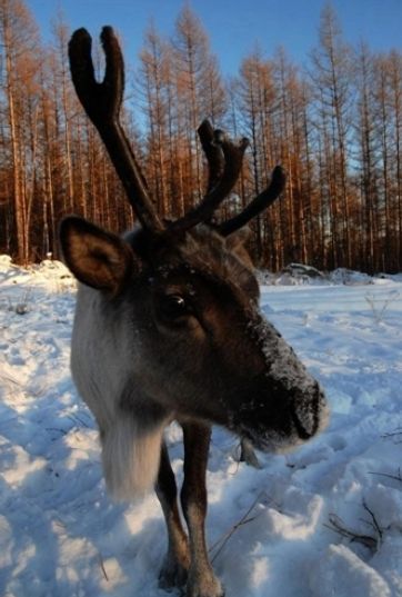 内蒙古旅游博客_内蒙古自由行博客