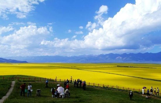 云南旅游博客_云南自由行博客