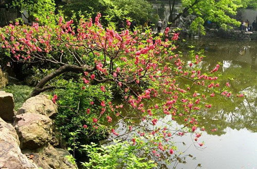 中国旅游博客_中国自由行博客