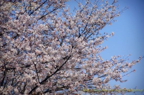 无锡市鼋头渚旅游_无锡市鼋头渚旅游攻略_鼋