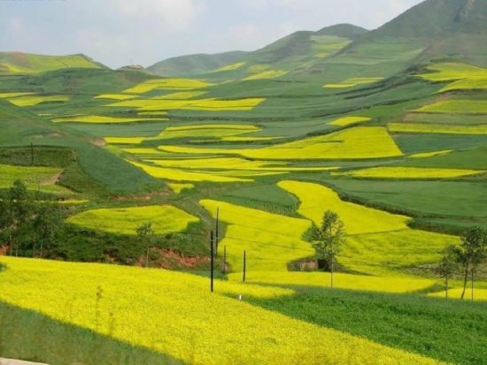 江西婺源旅游_江西婺源旅游攻略_婺源图片_婺