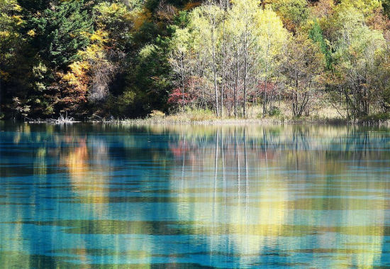 四川九寨沟旅游_四川九寨沟旅游攻略_九寨沟