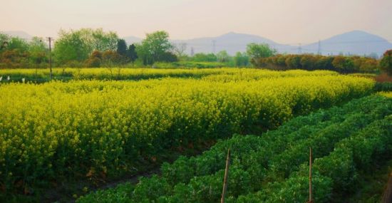 湖州湖州太湖旅游度假区旅游_湖州湖州太湖旅