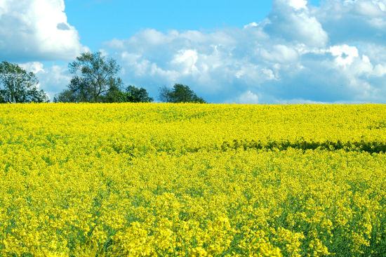 广西旅游博客_广西自由行博客
