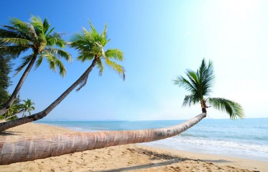 海南旅游博客_海南自由行博客