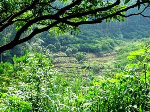 广东旅游博客_广东自由行博客