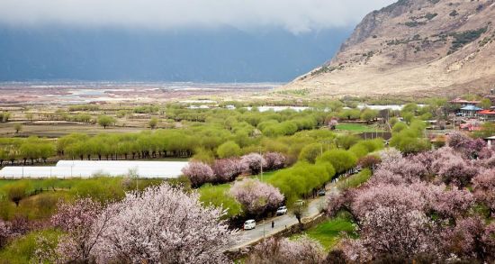 西藏旅游博客_西藏自由行博客