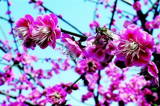 武汉旅游博客_武汉自由行博客