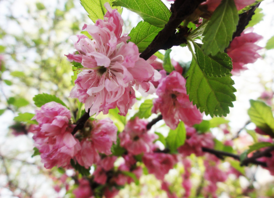 山西旅游博客_山西自由行博客