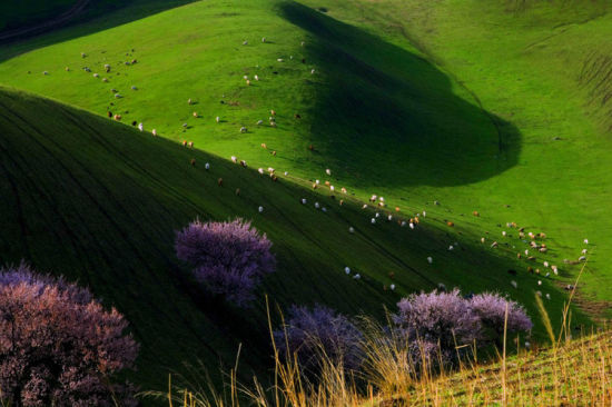新疆旅游博客_新疆自由行博客