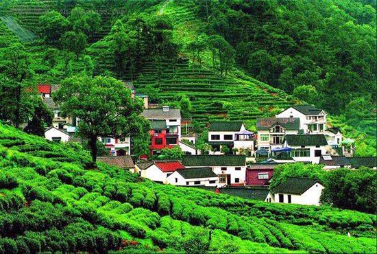 杭州旅游博客_杭州自由行博客