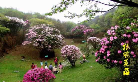 重庆旅游博客_重庆自由行博客