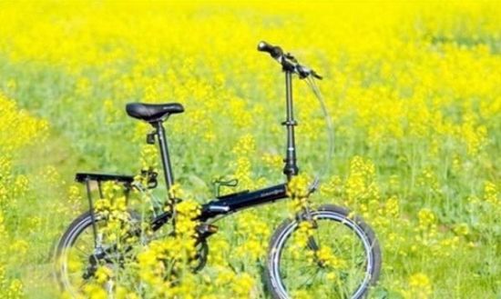 广西旅游博客_广西自由行博客