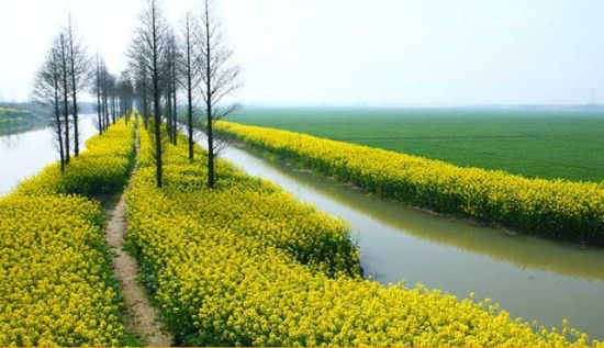 江苏旅游博客_江苏自由行博客