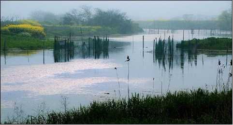 张家港旅游博客_张家港自由行博客
