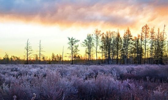 内蒙古旅游博客_内蒙古自由行博客
