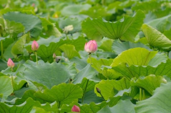 浙江旅游博客_浙江自由行博客