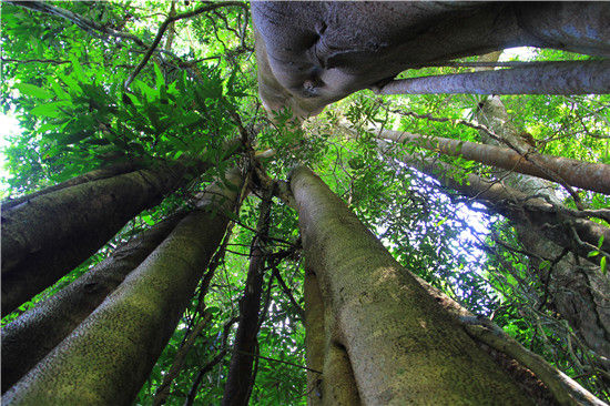 云南旅游博客_云南自由行博客
