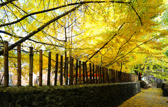 云南旅游博客_云南自由行博客