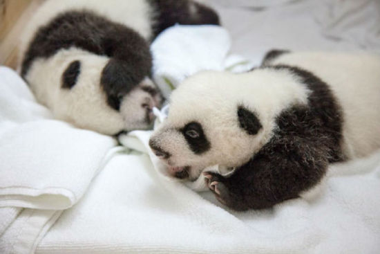 重庆旅游博客_重庆自由行博客