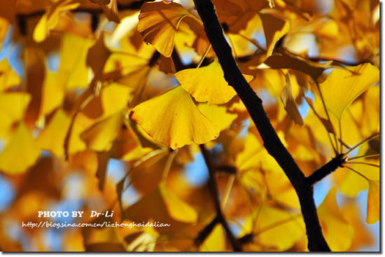 大连旅游博客_大连自由行博客