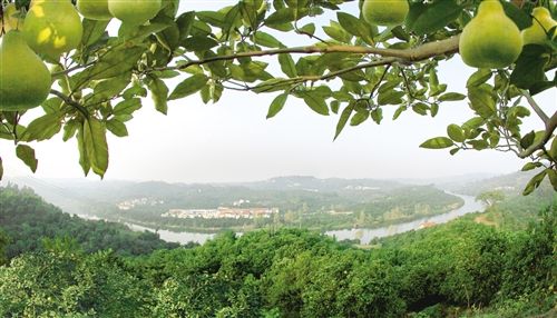 重庆旅游博客_重庆自由行博客