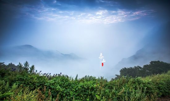 泰山夏季云海碧波(图:@扫雪-菲林映像)