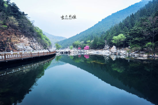 山花烂漫(图:泰山摄影论坛吉米)