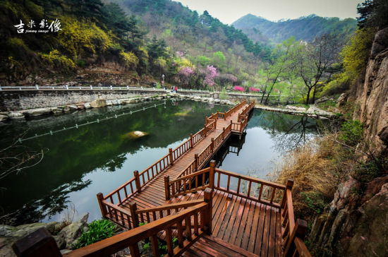 山花烂漫(图:泰山摄影论坛吉米)