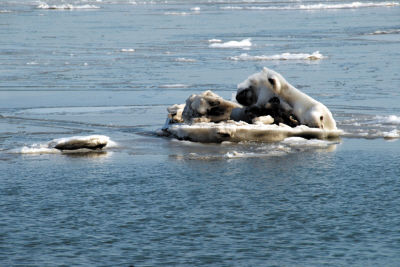 辽宁旅游博客_辽宁自由行博客