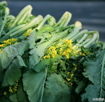 广东旅游博客_广东自由行博客