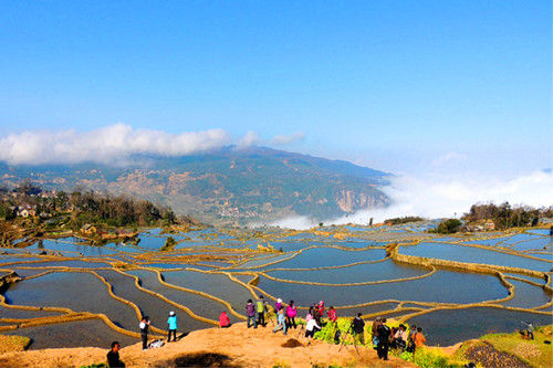 哈尼梯田风光(图:edwardhan) 哈尼梯田风光(图:edwardhan)
